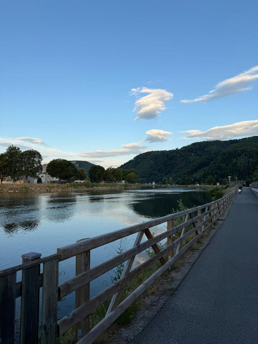 Holzgeländer und Mur im Abendlicht